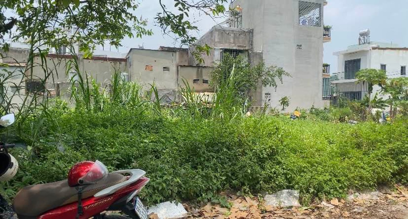 🔥 ĐẤT HIẾM Q.12 CŨ – 135M² – GẦN KÊNH THAM LƯƠNG 🔥