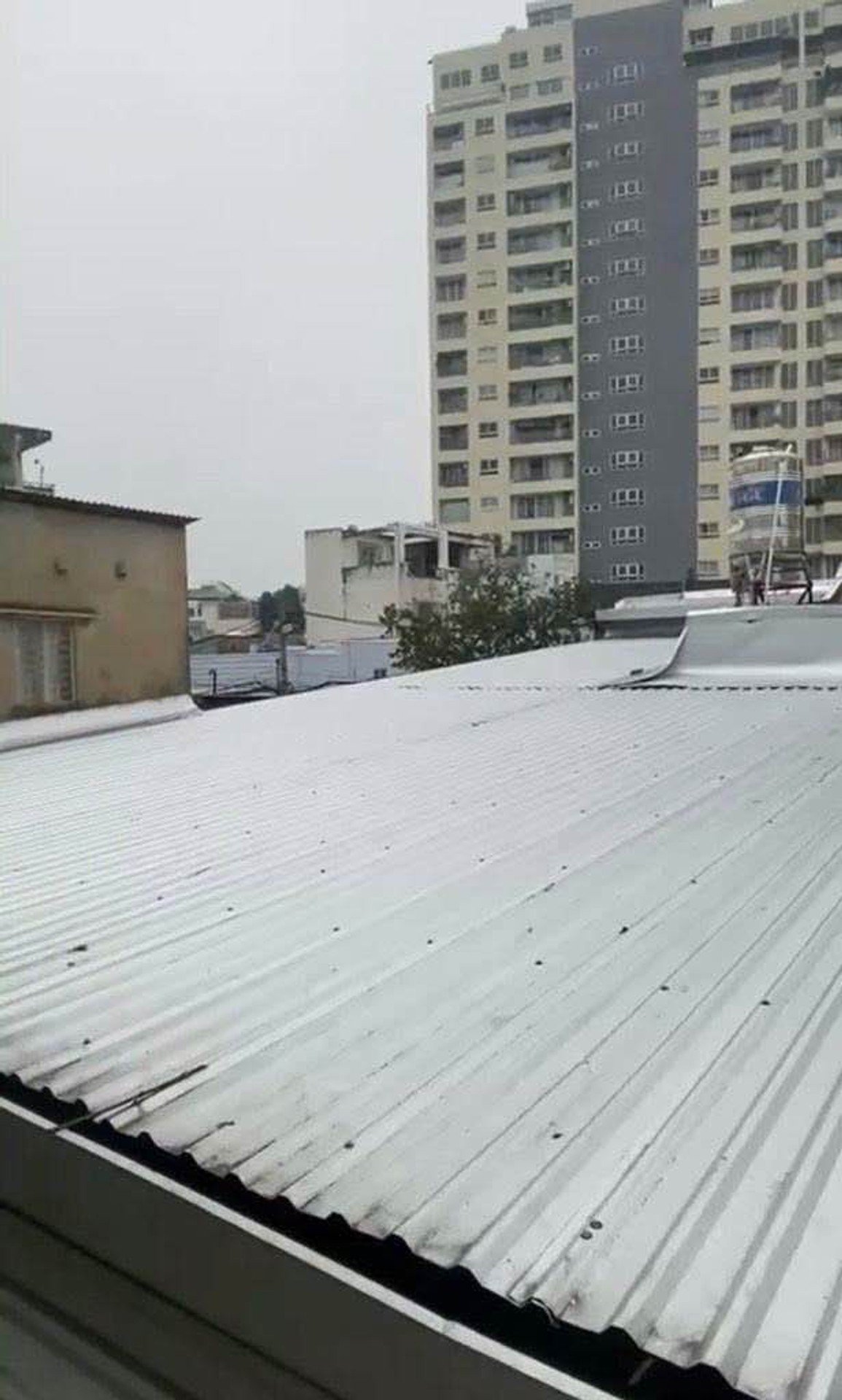 💵 ĐẤT LỚN TRUNG TÂM GÒ VẤP – HÀNG GIỮ TIỀN CỰC TỐT 🔥