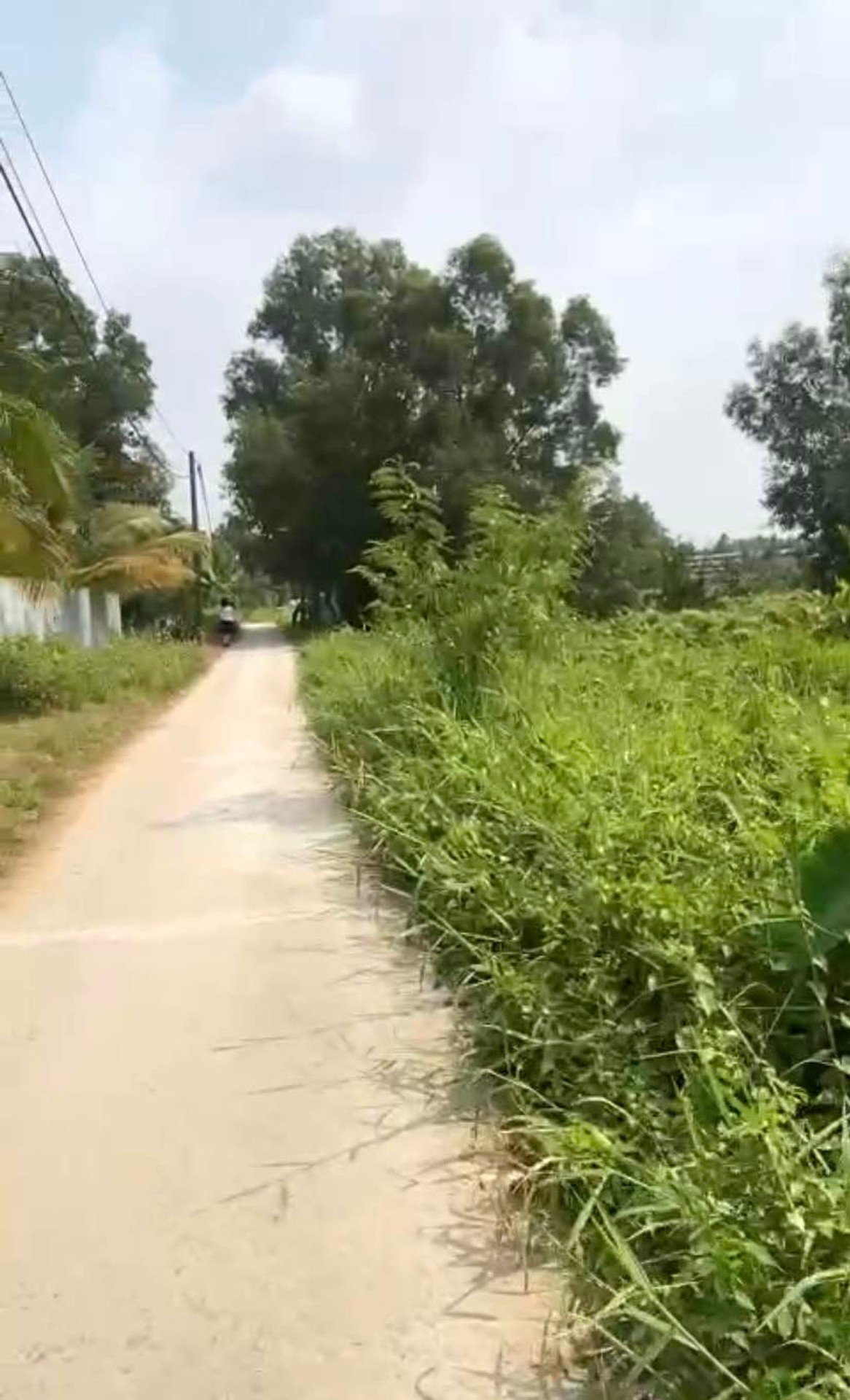 🔥 ĐẤT LỚN NHỊ BÌNH – HÓC MÔN | 2.072M² 🔥