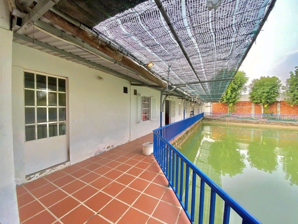 🟢 NHÀ VƯỜN 4.035M² – TRUNG LẬP THƯỢNG, CỦ CHI 🟢
