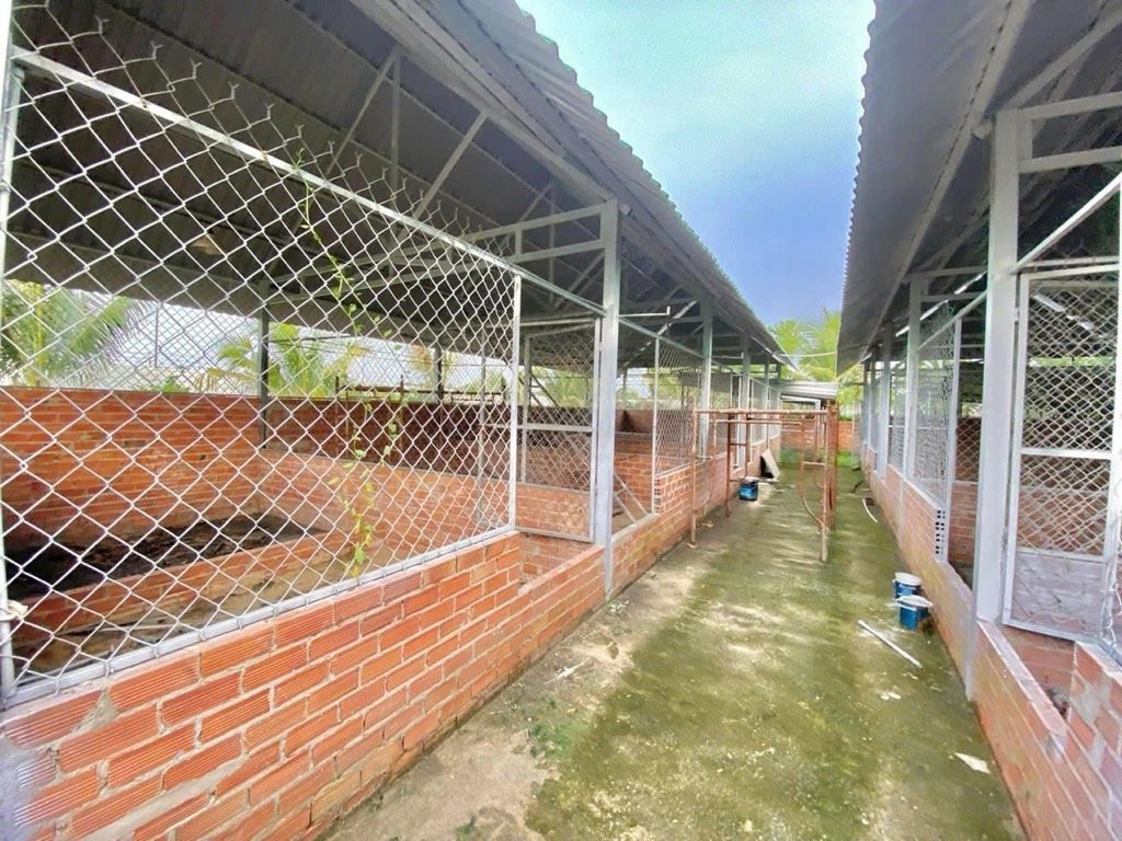 🟢 NHÀ VƯỜN 4.035M² – TRUNG LẬP THƯỢNG, CỦ CHI 🟢