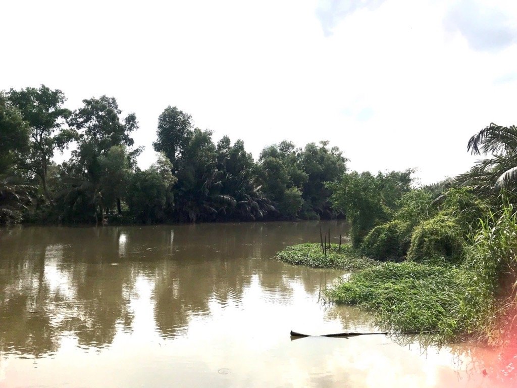 🔥 DIỆN TÍCH LỚN – ĐẦU TƯ KINH DOANH NHÀ HÀNG, CÂU CÁ GIẢI TRÍ 🔥