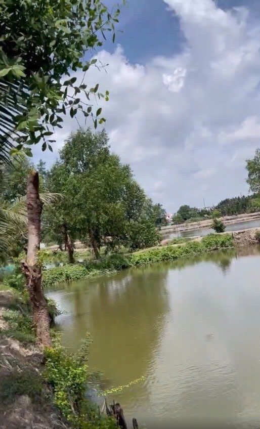 🔥 DIỆN TÍCH LỚN – ĐẦU TƯ KINH DOANH NHÀ HÀNG, CÂU CÁ GIẢI TRÍ 🔥