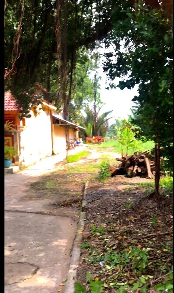 🔥 GIÁ ĐẦU TƯ – ĐẤT KINH DOANH ĐẸP – PHONG PHÚ, BÌNH CHÁNH 🔥