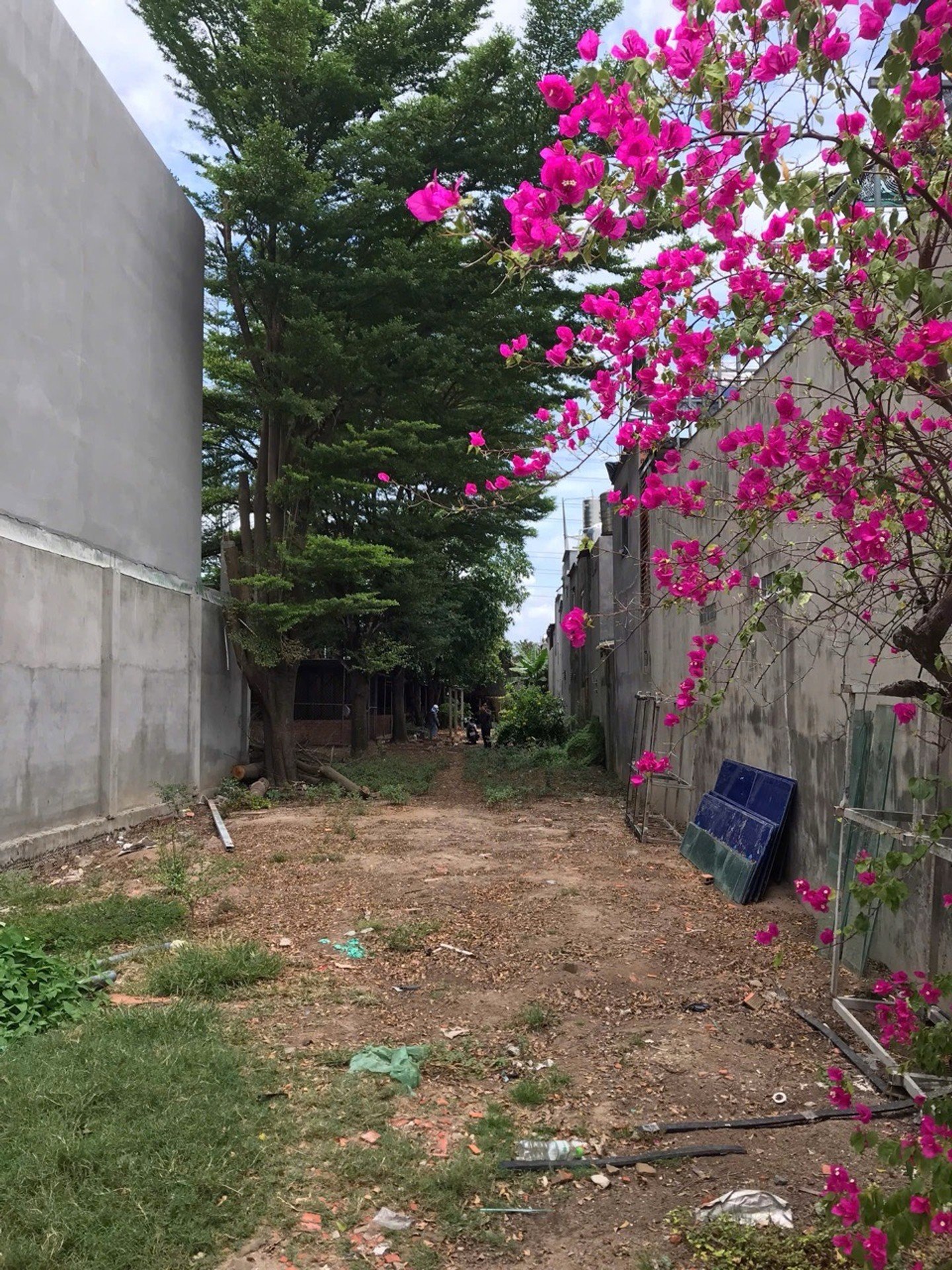 🌿 QUỸ ĐẤT 939,5M² – ĐÔNG THẠNH, TP.HCM 🌿