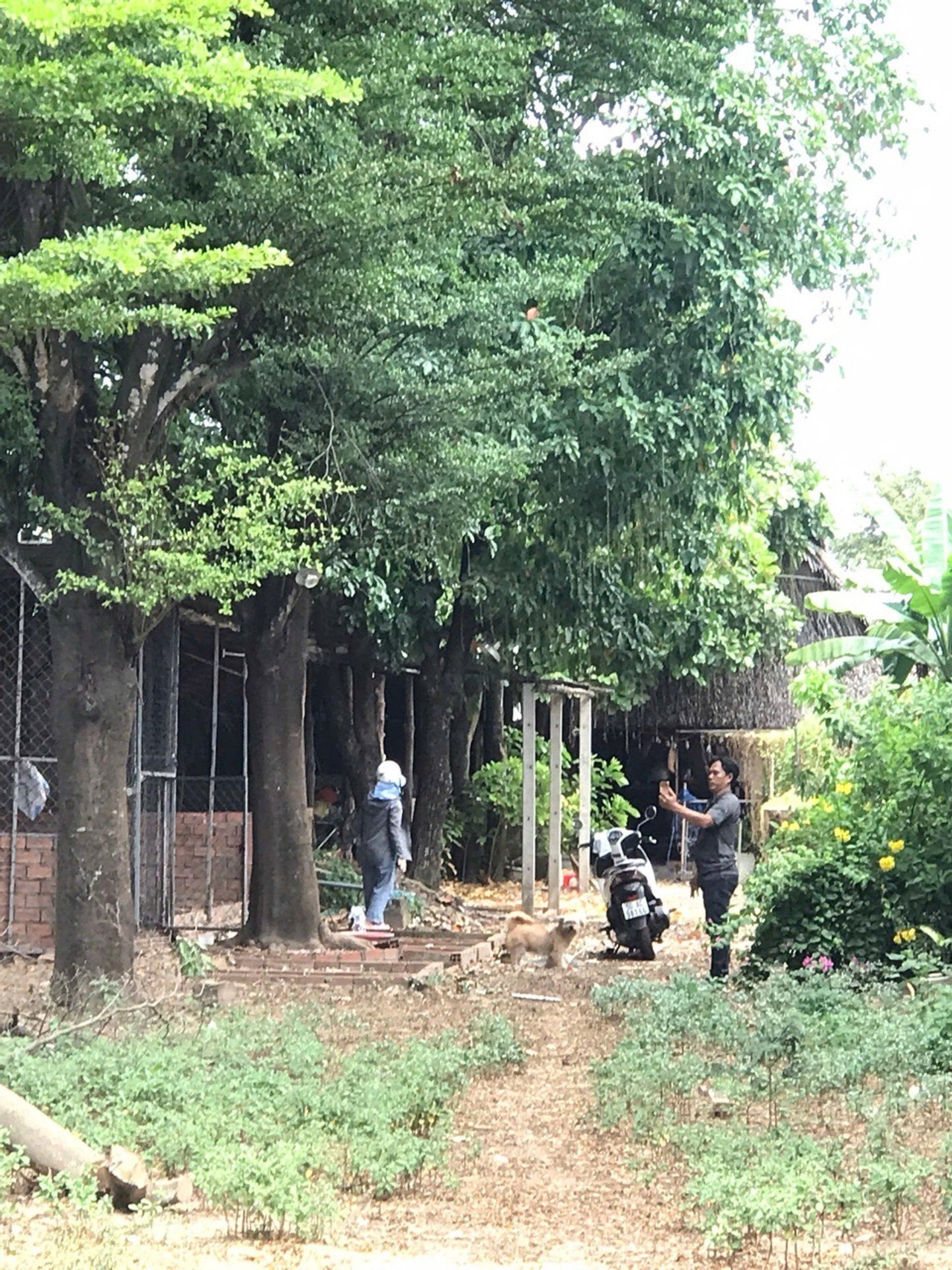 🌿 QUỸ ĐẤT 939,5M² – ĐÔNG THẠNH, TP.HCM 🌿